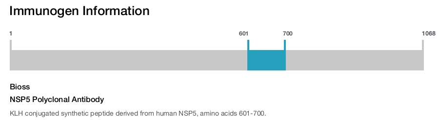 NSP5 Polyclonal Antibody