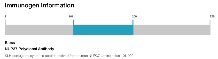 NUP37 Polyclonal Antibody