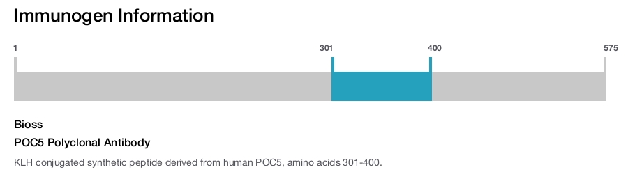 POC5 Polyclonal Antibody