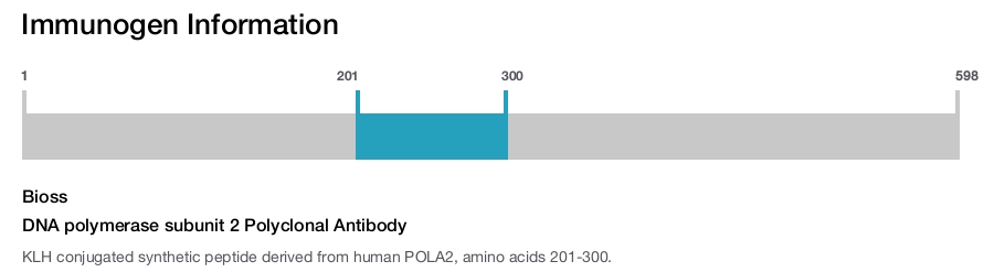 DNA polymerase subunit 2 Polyclonal Antibody