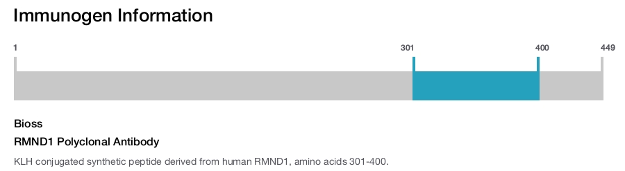 RMND1 Polyclonal Antibody