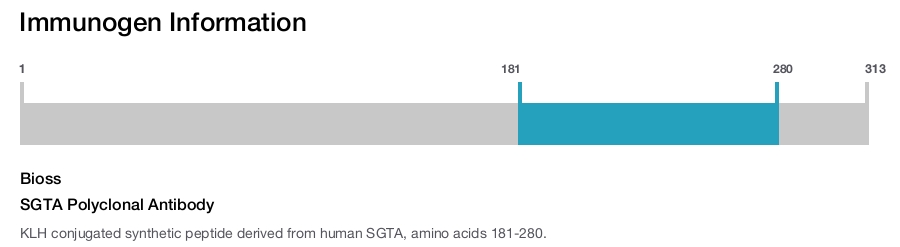 SGTA Polyclonal Antibody