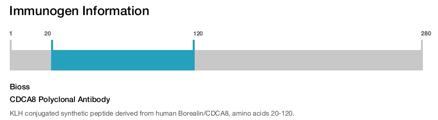 CDCA8 Polyclonal Antibody
