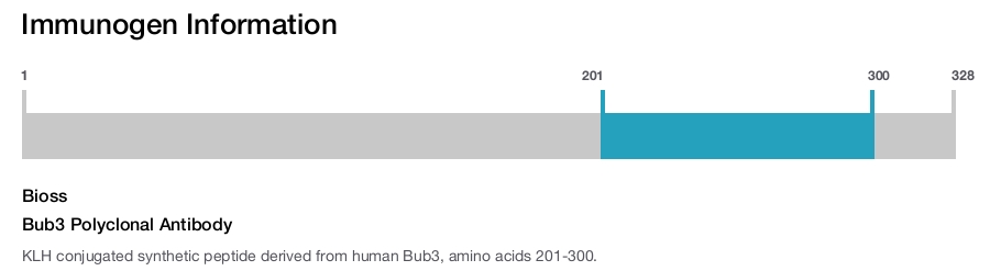 Bub3 Polyclonal Antibody