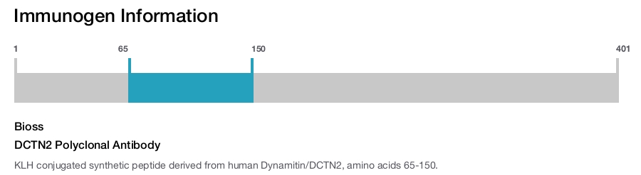 DCTN2 Polyclonal Antibody