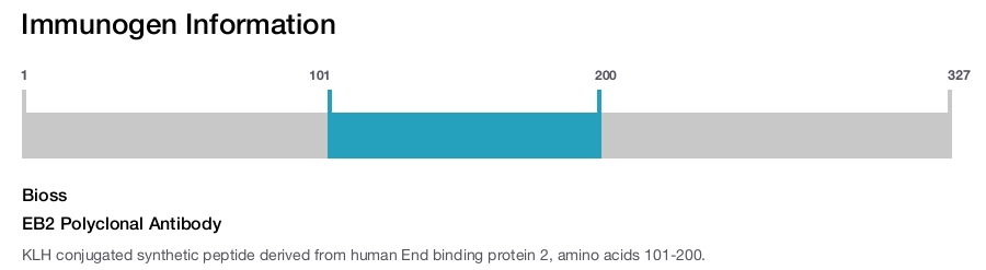 EB2 Polyclonal Antibody