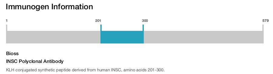 INSC Polyclonal Antibody