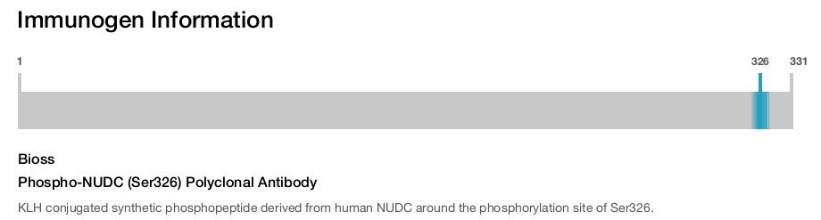 Phospho-NUDC (Ser326) Polyclonal Antibody