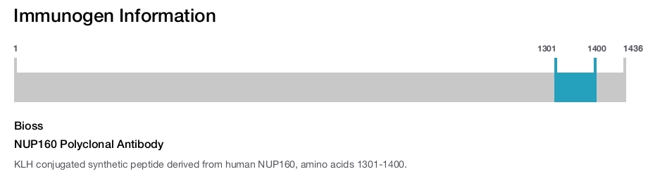 NUP160 Polyclonal Antibody