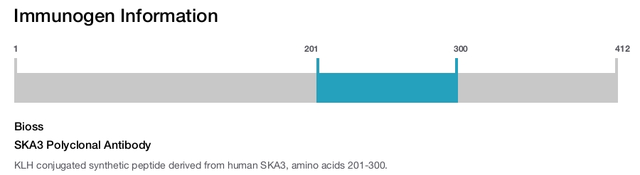 SKA3 Polyclonal Antibody