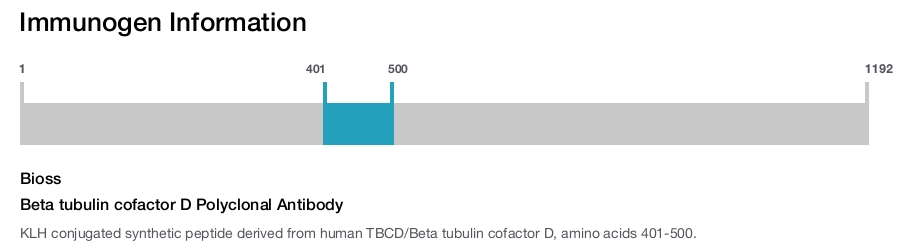 Beta tubulin cofactor D Polyclonal Antibody