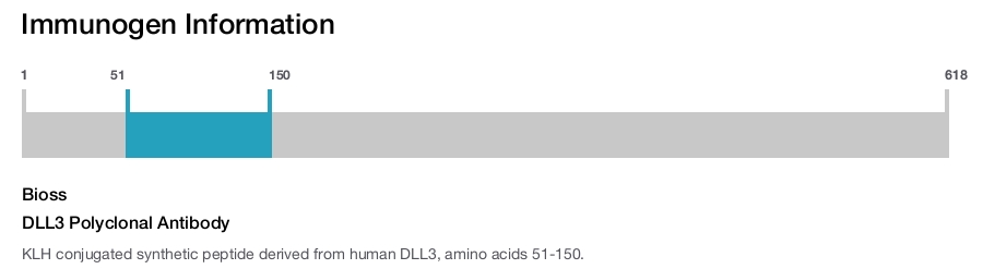 DLL3 Polyclonal Antibody