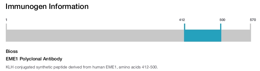 EME1 Polyclonal Antibody