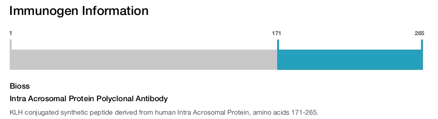 Intra Acrosomal Protein Polyclonal Antibody