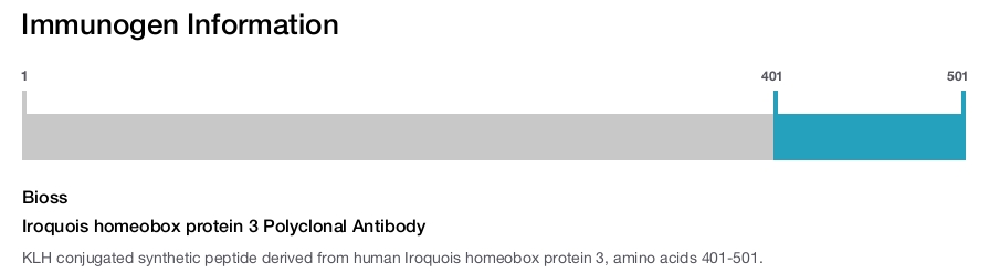 Iroquois homeobox protein 3 Polyclonal Antibody