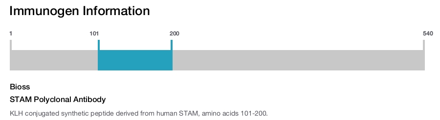 STAM Polyclonal Antibody