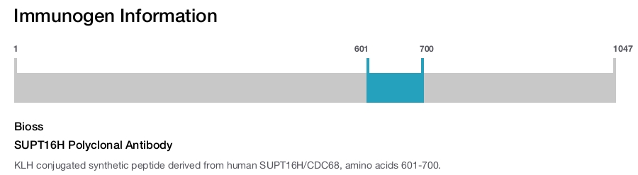 SUPT16H Polyclonal Antibody