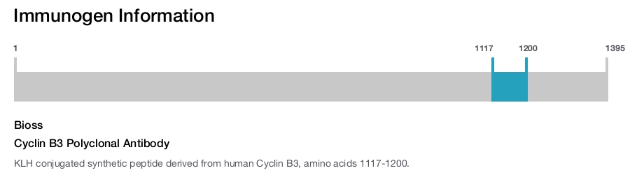 Cyclin B3 Polyclonal Antibody