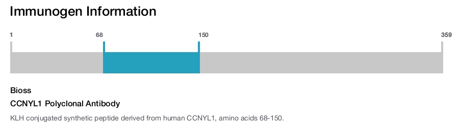 CCNYL1 Polyclonal Antibody