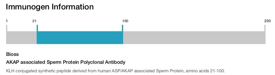 AKAP associated Sperm Protein Polyclonal Antibody