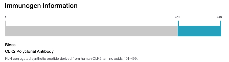 CLK2 Polyclonal Antibody