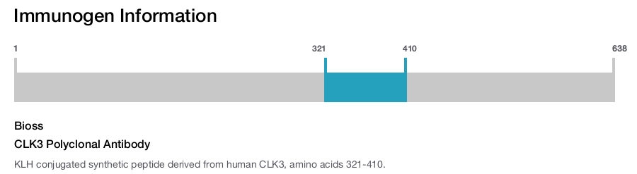CLK3 Polyclonal Antibody