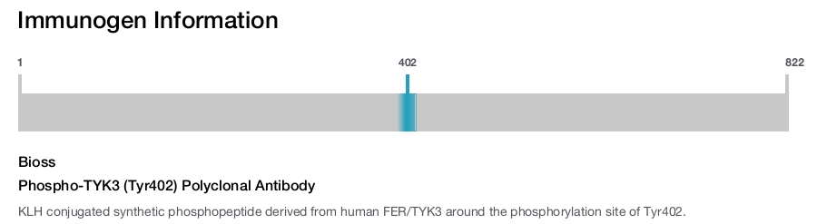Phospho-TYK3 (Tyr402) Polyclonal Antibody