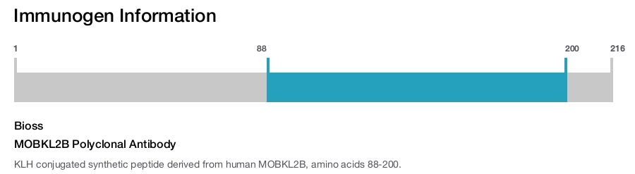 MOBKL2B Polyclonal Antibody