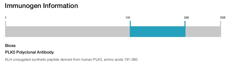 PLK5 Polyclonal Antibody