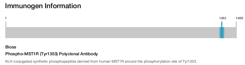 Phospho-MST1R (Tyr1353) Polyclonal Antibody