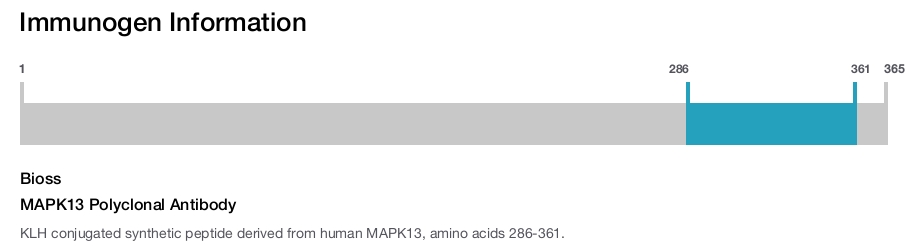 MAPK13 Polyclonal Antibody
