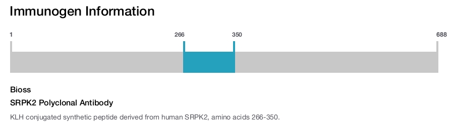 SRPK2 Polyclonal Antibody