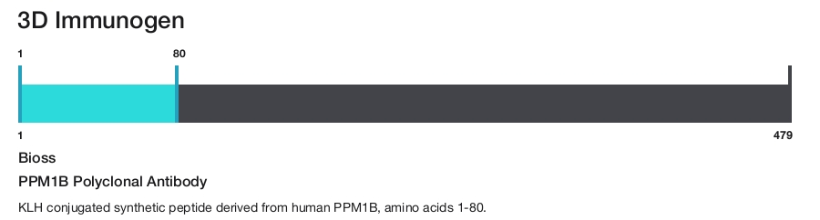 PPM1B Polyclonal Antibody