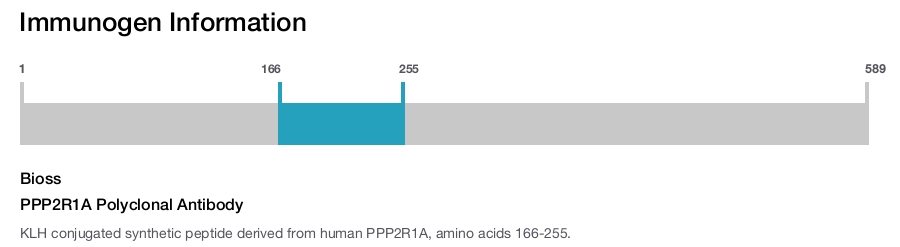 PPP2R1A Polyclonal Antibody