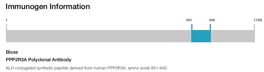 PPP2R3A Polyclonal Antibody