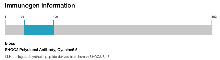 SHOC2 Polyclonal Antibody, Cyanine5.5