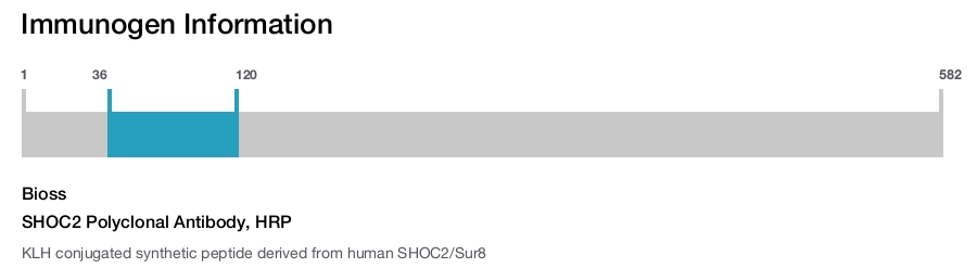 SHOC2 Polyclonal Antibody, HRP