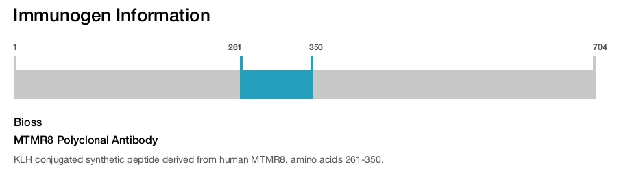 MTMR8 Polyclonal Antibody