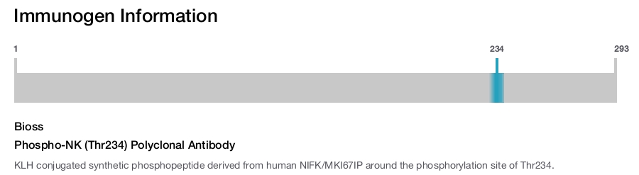 Phospho-NK (Thr234) Polyclonal Antibody