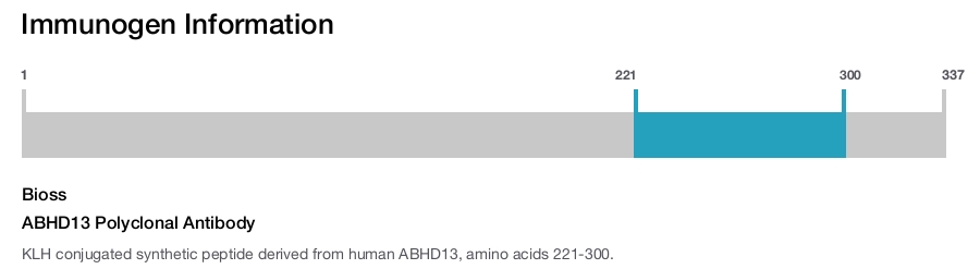 ABHD13 Polyclonal Antibody