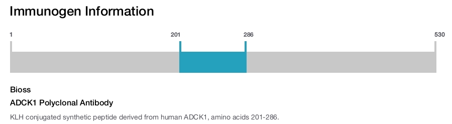 ADCK1 Polyclonal Antibody