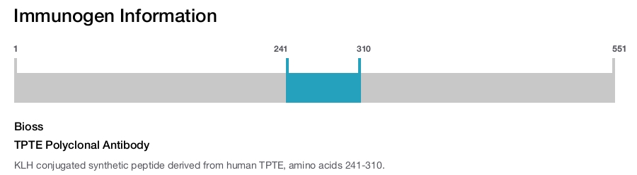 TPTE Polyclonal Antibody