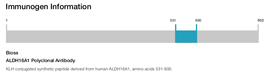 ALDH16A1 Polyclonal Antibody