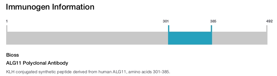 ALG11 Polyclonal Antibody