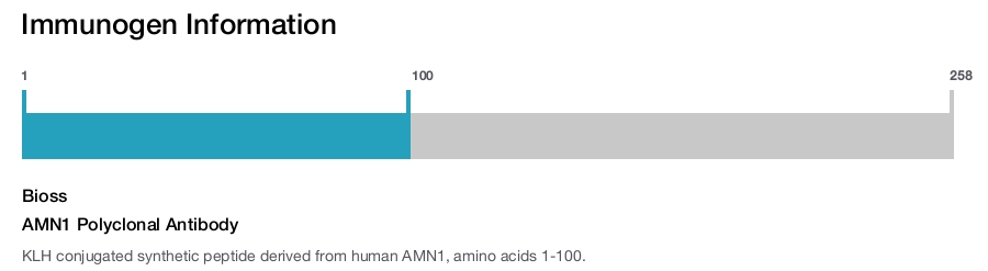 AMN1 Polyclonal Antibody