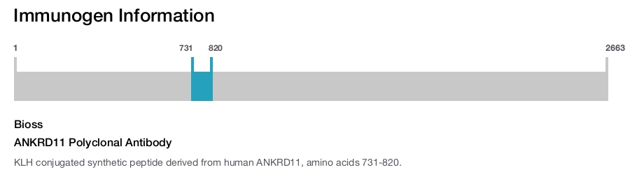 ANKRD11 Polyclonal Antibody