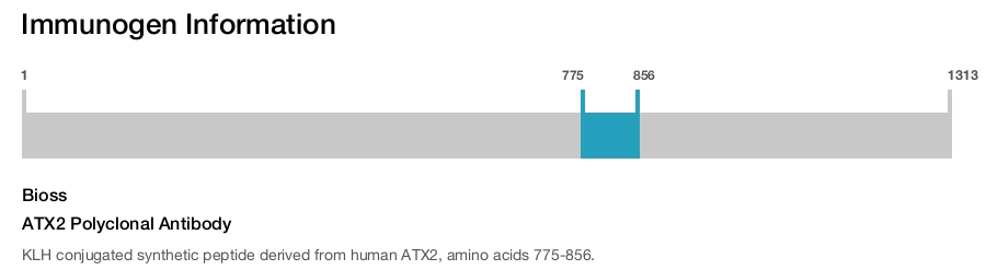 ATX2 Polyclonal Antibody