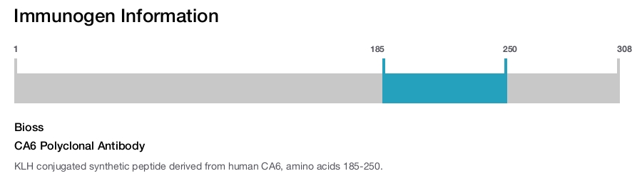 CA6 Polyclonal Antibody
