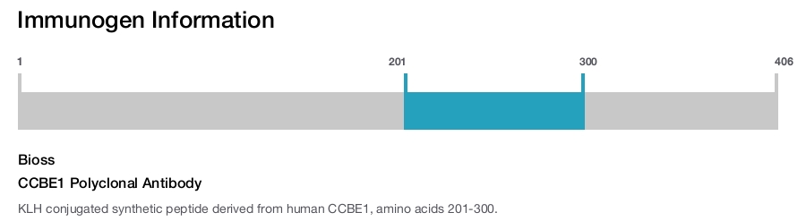 CCBE1 Polyclonal Antibody