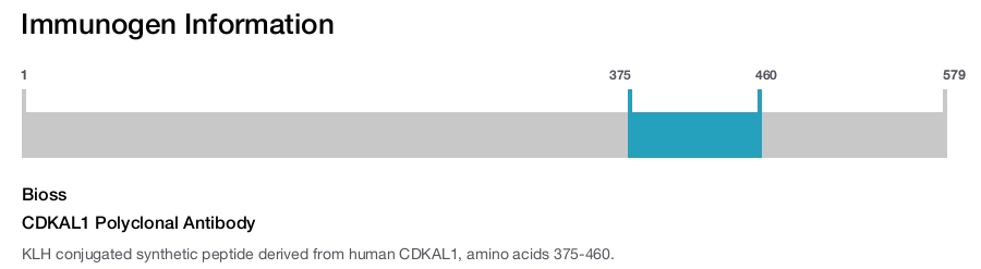 CDKAL1 Polyclonal Antibody